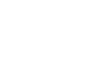 FESTIVAL SAYULITA